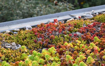 the cost of Port Nan Long green roof installation
